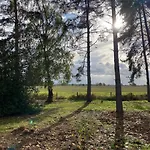 Hollicarrs - Pinewood Jaktstuga Riccall