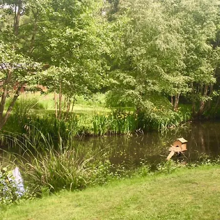 Hollicarrs - Pinewood 롯지