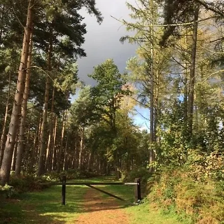 Hollicarrs - Pinewood 롯지