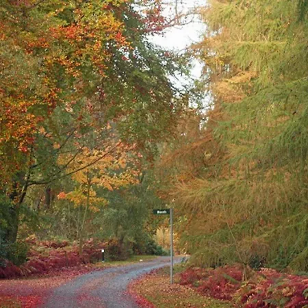 Hollicarrs - Pinewood 롯지