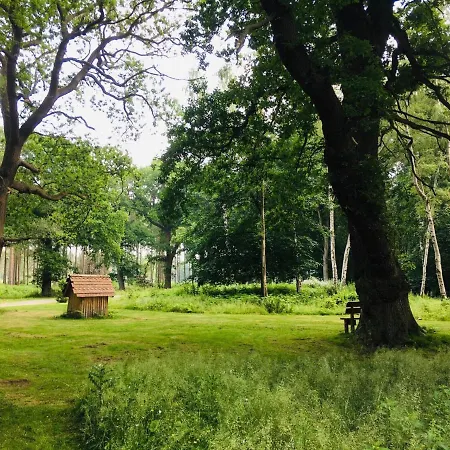 Hollicarrs - Pinewood 롯지 Riccall