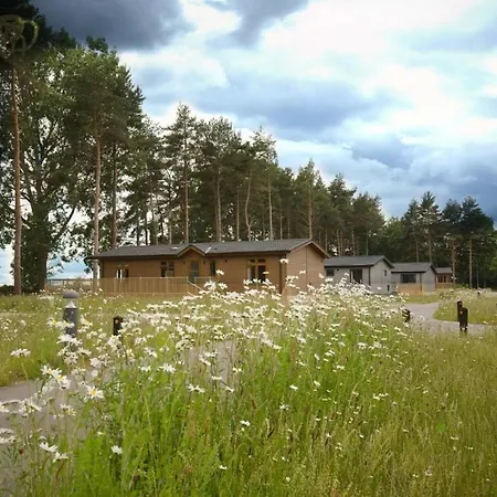 Hollicarrs - Pinewood Hytte *