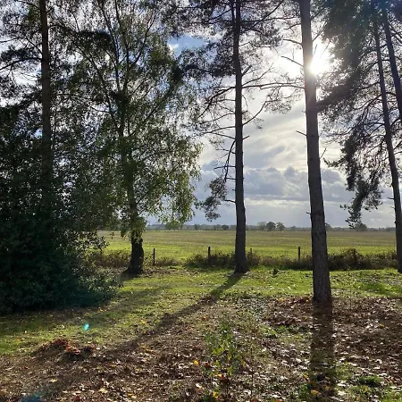 Hollicarrs - Pinewood Lodge Riccall